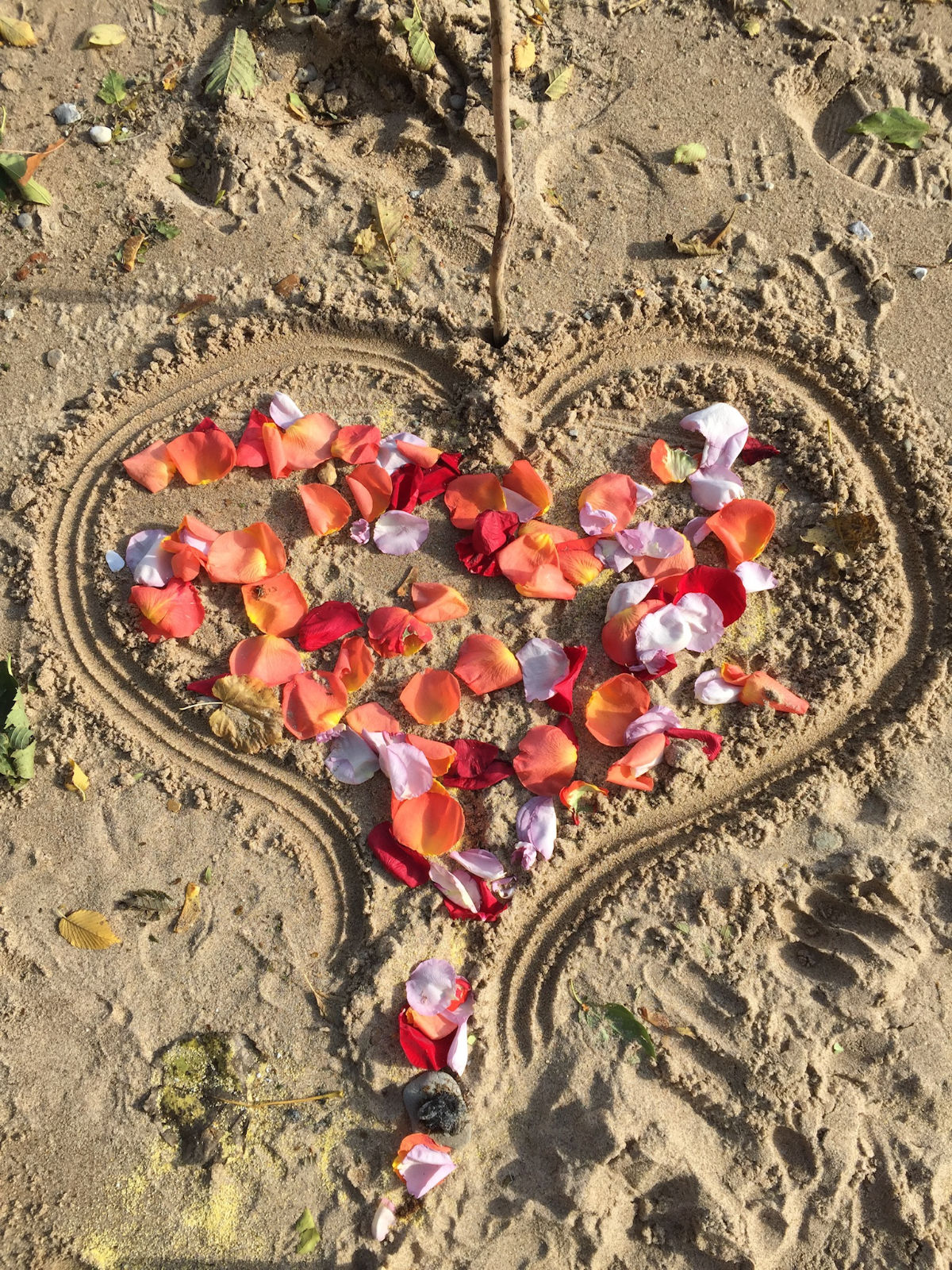 A heart drawn in the sand filled with flower petals