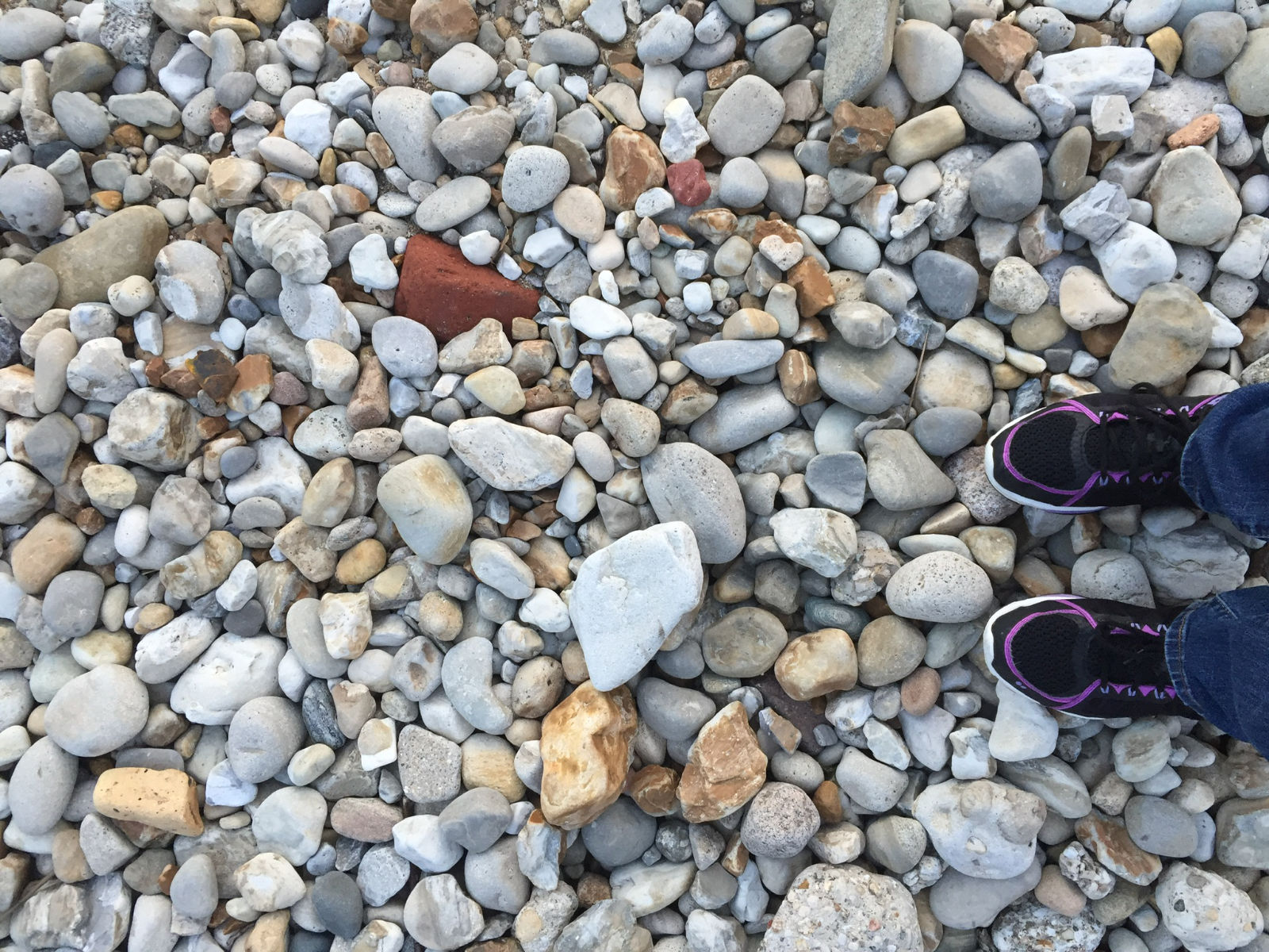 Purple and black sneakers stand on a rocky shore