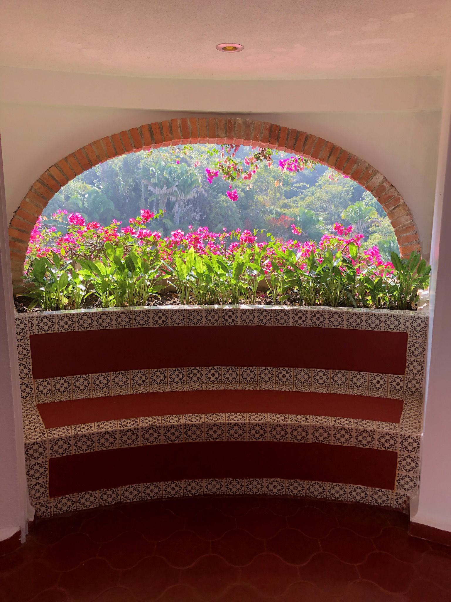 An interior space bordered by bright pink flowers and looking out over a vibrant, sunny landscape